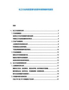 化工行業(yè)風(fēng)險管理與投資布局策略研究報告