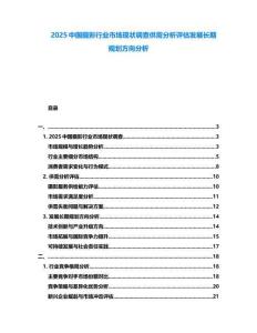 2025中國攝影行業(yè)市場(chǎng)現(xiàn)狀調(diào)查供需分析評(píng)估發(fā)展長期規(guī)劃方向分析