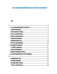 2025娱乐传媒业多媒体平台运行分析及行业未来设计