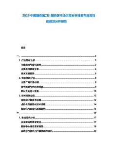 2025中国服务器刀片服务器市场供需分析投资布局高性能规划分析报告