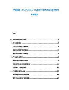 中國硝酸（CAS7697372）行業(yè)生產(chǎn)技術(shù)對比與成本結(jié)構(gòu)分析報(bào)告