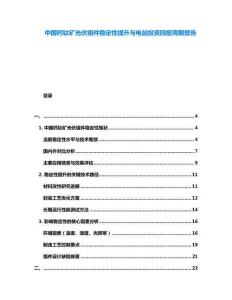 中國(guó)鈣鈦礦光伏組件穩(wěn)定性提升與電站投資回報(bào)周期報(bào)告