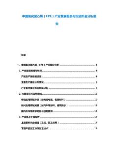 中國氯化聚乙烯（CPE）產(chǎn)業(yè)發(fā)展前景與投資機(jī)會分析報(bào)告