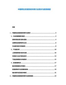 中國再生資源回收利用行業(yè)現(xiàn)狀與前景展望