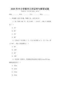 2025年中小學數學幾何證明與解答試題