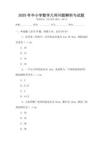 2025年中小學數學幾何問題解析與試題