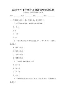 2025年中小學數學基礎知識點精講試卷