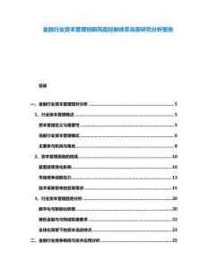 金融行業(yè)資本管理創(chuàng)新風險控制體系完善研究分析報告