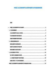 中國(guó)工業(yè)互聯(lián)網(wǎng)平臺(tái)競(jìng)爭(zhēng)格局與市場(chǎng)前景報(bào)告