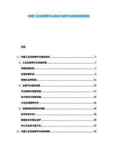 中國(guó)工業(yè)互聯(lián)網(wǎng)平臺(tái)建設(shè)與數(shù)字化轉(zhuǎn)型戰(zhàn)略報(bào)告
