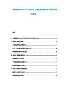 中國燒堿（CAUSTICSODA）行業(yè)區(qū)域分布與下游需求潛力報告