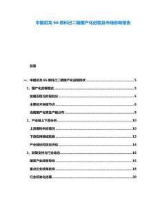 中國尼龍66原料己二腈國產化進程及市場影響報告
