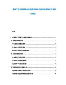 中國(guó)工業(yè)互聯(lián)網(wǎng)平臺(tái)功能完善與企業(yè)數(shù)字化轉(zhuǎn)型關(guān)聯(lián)性研究報(bào)告