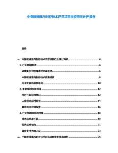 中國碳捕集與封存技術(shù)示范項目投資回報分析報告