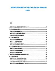 新加坡物流倉儲(chǔ)服務(wù)行業(yè)市場狀況分析及商業(yè)發(fā)展規(guī)劃研究報(bào)告