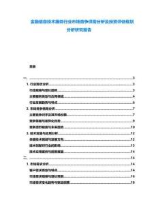 金融信息技術服務行業(yè)市場競爭供需分析及投資評估規(guī)劃分析研究報告