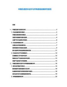中國白酒資本運作與并購重組戰(zhàn)略研究報告