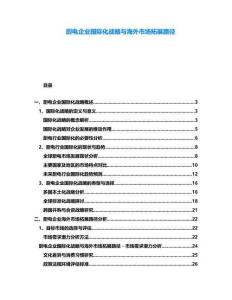 廚電企業(yè)國(guó)際化戰(zhàn)略與海外市場(chǎng)拓展路徑