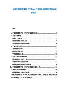 中國對硝基苯甲酸（PNBA）行業(yè)競爭格局與投資機會分析報告