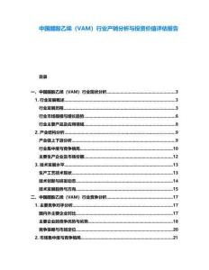 中國(guó)醋酸乙烯（VAM）行業(yè)產(chǎn)銷分析與投資價(jià)值評(píng)估報(bào)告