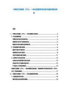 中國己內(nèi)酰胺（CPL）一體化裝置競爭優(yōu)勢與盈利模式研究