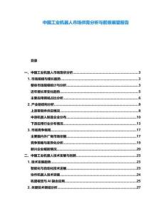 中國工業(yè)機(jī)器人市場(chǎng)供需分析與前景展望報(bào)告