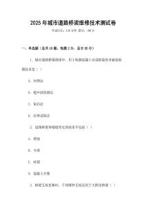 2025年城市道路橋梁維修技術測試卷