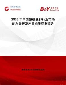 2026年中國(guó)氟硼酸鉀行業(yè)市場(chǎng)動(dòng)態(tài)分析及產(chǎn)業(yè)前景研判報(bào)告