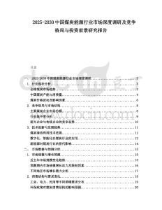 2025-2030中國煤炭能源行業(yè)市場深度調研及競爭格局與投資前景研究報告