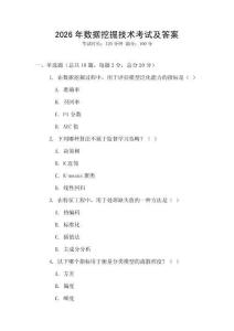 2026年数据挖掘技术考试及答案