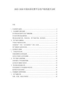 2025-2030中国内容付费平台用户粘性提升分析