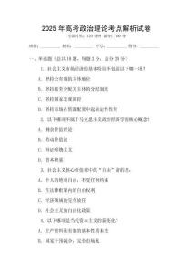 2025年高考政治理論考點解析試卷