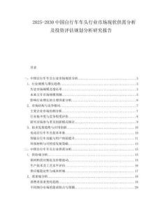 2025-2030中國(guó)自行車(chē)車(chē)頭行業(yè)市場(chǎng)現(xiàn)狀供需分析及投資評(píng)估規(guī)劃分析研究報(bào)告