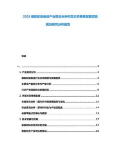 2025橡膠輪胎制造產(chǎn)業(yè)現(xiàn)狀分析供需關(guān)系要素配置項目規(guī)劃研究分析報告