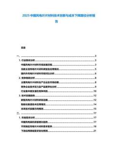 2025中國風電葉片材料技術創(chuàng)新與成本下降路徑分析報告