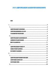 2025法國(guó)可再生能源行業(yè)投資環(huán)境與政策支持研究