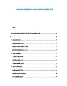 煤炭清潔高效利用技術(shù)政策與投資方向研究報(bào)告