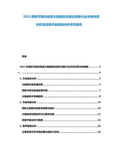 2025西歐可再生能源太陽能商業(yè)模式創(chuàng)新行業(yè)市場供需分析及投資評估規(guī)劃分析研究報告