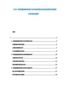 2025深?；驇鞕z測行業(yè)市場供需分析及投資評估規(guī)劃分析研究報告