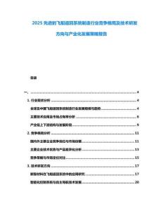 2025先進的飛船返回系統(tǒng)制造行業(yè)競爭格局及技術研發(fā)方向與產(chǎn)業(yè)化發(fā)展策略報告
