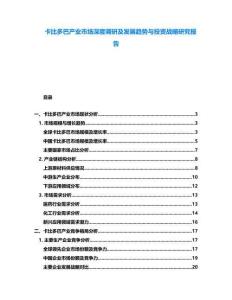 卡比多巴产业市场深度调研及发展趋势与投资战略研究报告
