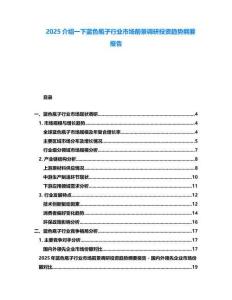 2025介紹一下藍色瓶子行業市場前景調研投資趨勢綱要報告
