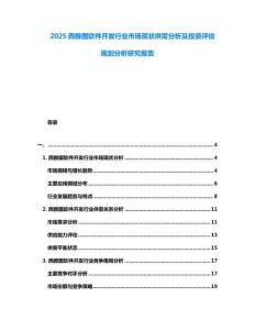 2025西雅圖軟件開發(fā)行業(yè)市場(chǎng)現(xiàn)狀供需分析及投資評(píng)估規(guī)劃分析研究報(bào)告
