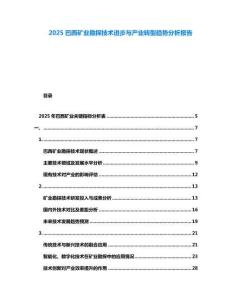 2025巴西礦業(yè)勘探技術(shù)進(jìn)步與產(chǎn)業(yè)轉(zhuǎn)型趨勢(shì)分析報(bào)告