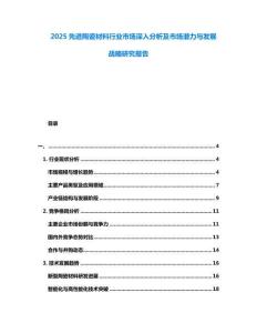 2025先進陶瓷材料行業市場深入分析及市場潛力與發展戰略研究報告