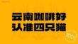 營銷策劃 -云南四只貓咖啡案例復盤 -抖音電商品牌
