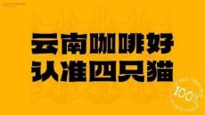 營銷策劃 -云南四只貓咖啡案例復(fù)盤 -抖音電商品牌