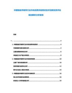 中國智能手腕帶行業(yè)市場消費(fèi)供給現(xiàn)狀技術(shù)創(chuàng)新投資評估規(guī)劃解析分析報告