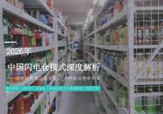 2026年中國閃電倉模式深度解析