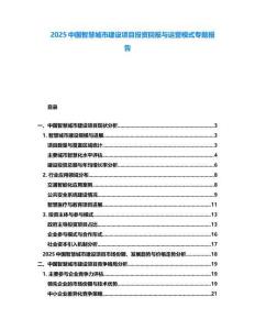 2025中國智慧城市建設(shè)項目投資回報與運營模式專題報告